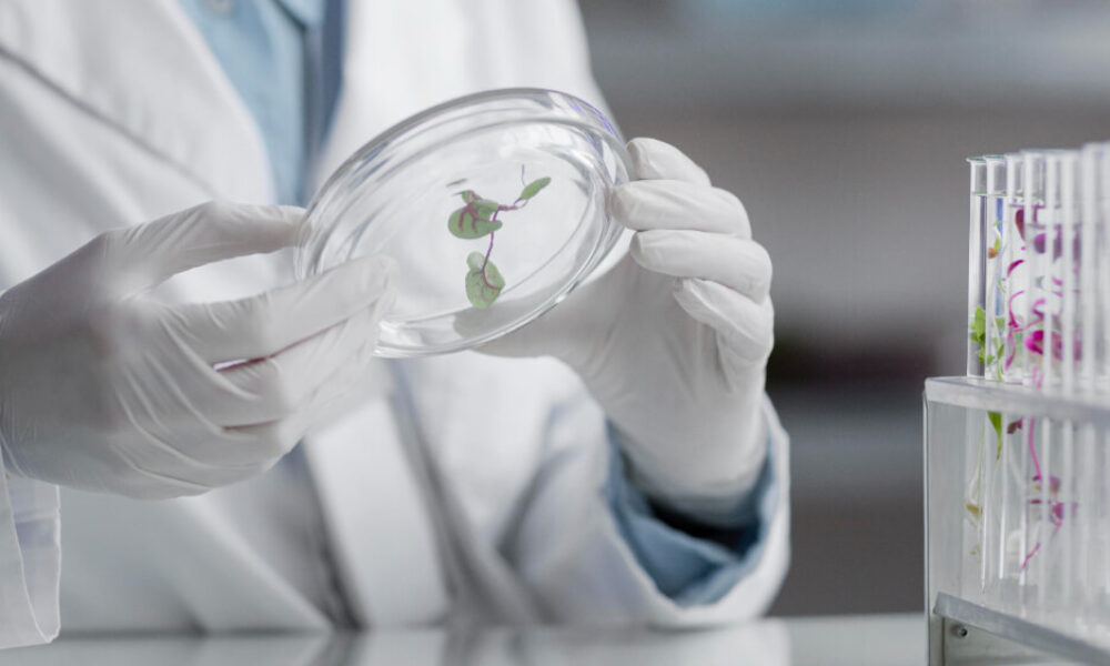 השקעה בחברות ביוטכנולוגיה